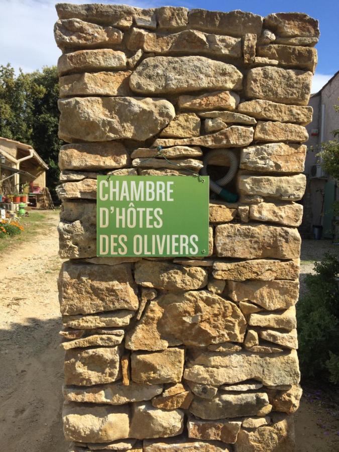 Hotel Chambre D'Hotes Des Oliviers La Roque-sur-Cèze Exterior foto